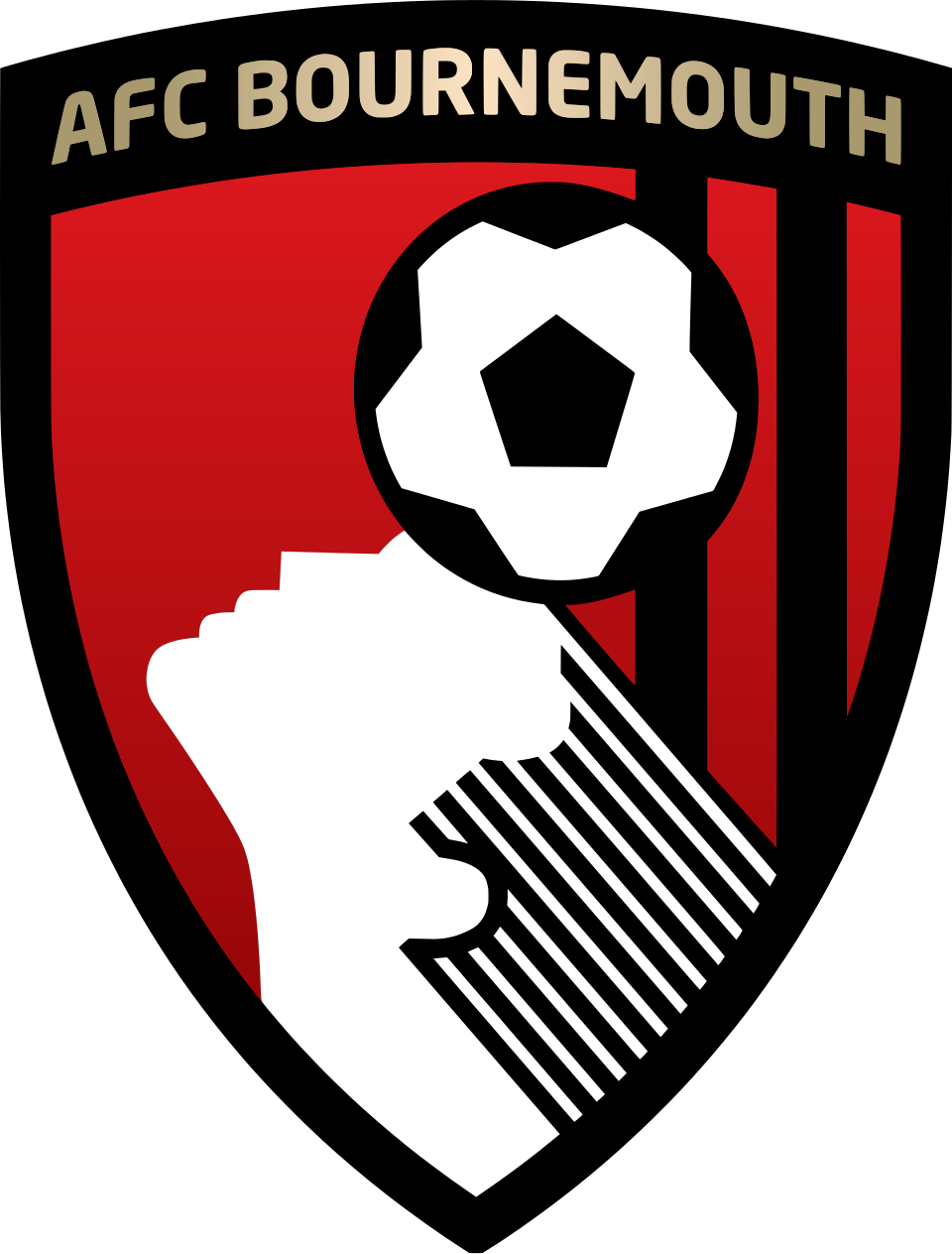 AFC_Bournemouth_(2013).svg.webp